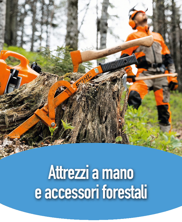 Box attrezzi Attrezzi a mano e accessori forestali